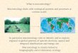 What is macroecology?
