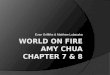 World on Fire Amy Chua Chapter 7 &  8