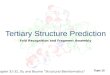 Tertiary Structure Prediction