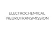 ELECTROCHEMICAL  NEUROTRANSMISSION