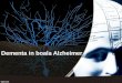 Dementa in boala Alzheimer