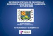 INFORME SECRETARIA DE DESARROLLO ECONOMICO AGROPECUARIO Y AMBIENTAL  OCTUBRE 2012