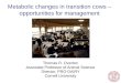 Metabolic changes in transition cows – opportunities for management