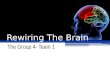 Rewiring The Brain