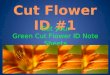 Cut Flower ID #1