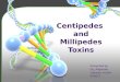 Centipedes  and Millipedes Toxins