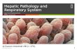 Hepatic Pathology and Respiratory System
