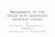 Management of the child with posterior urethral valves