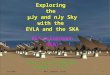 Exploring  the  μJy  and  nJy  Sky with the  EVLA and the SKA