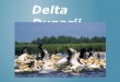 Delta  Dunarii