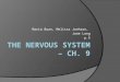 The Nervous System – Ch. 9