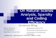 On Natural Scenes Analysis, Sparsity and Coding Efficiency
