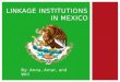Linkage Institutions in Mexico