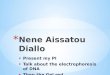 Nene  Aissatou Diallo