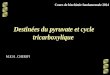 Destinées du pyruvate et cycle tricarboxylique