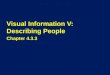 Visual Information V: Describing People