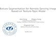 Texture Segmentation for Remote Sensing Image  Based on Texture-Topic Model