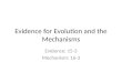 Evidence for Evolution and the Mechanisms