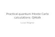Practical quantum Monte Carlo calculations: QWalk