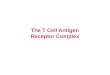 The T Cell Antigen Receptor Complex