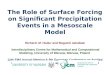 The Role of Surface Forcing on Significant Precipitation Events in a Mesoscale Model
