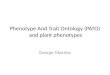 Phenotype And Trait Ontology (PATO)  and plant phenotypes