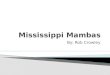 Mississippi Mambas