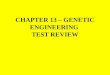 CHAPTER 13 – GENETIC ENGINEERING  TEST REVIEW
