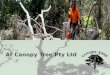At Canopy Tree Pty Ltd