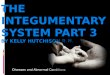The  integumentary  system Part 3 by Kelly Hutchison R.n