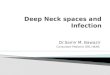 Deep Neck spaces and Infection