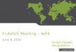 FLAVIUS Meeting – WP4