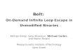 Bolt: On-Demand  Infinite Loop Escape  in Unmodified Binaries