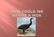 How could we revive a Moa