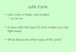 Lytic  Cycle