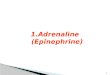 Adrenaline (Epinephrine)