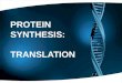 PROTEIN SYNTHESIS: TRANSLATION
