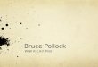 Bruce Pollock