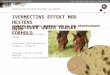 Ivermectins  effekt mod hestens nematoder  under danske forhold