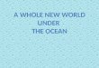 A whole new World under  The Ocean