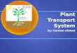 Plant Transport System