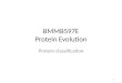BMMB597E Protein Evolution
