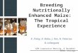 Breeding Nutritionally Enhanced Maize:  The Tropical Experience
