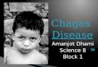 Chagas  Disease