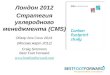 Лондон  2012 Стратегия углеродного менеджмента  (CMS) Обзор для Сочи  2014  ( Москва март  2012)