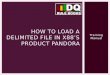 How to load a delimited file in x88’s product pandora