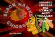 Chicago Blackhawks Sponsorship Proposal Project