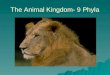 The Animal Kingdom- 9 Phyla