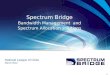Spectrum Bridge Bandwidth Management  and Spectrum Allocation solutions