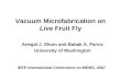 Vacuum Microfabrication on  Live  Fruit Fly